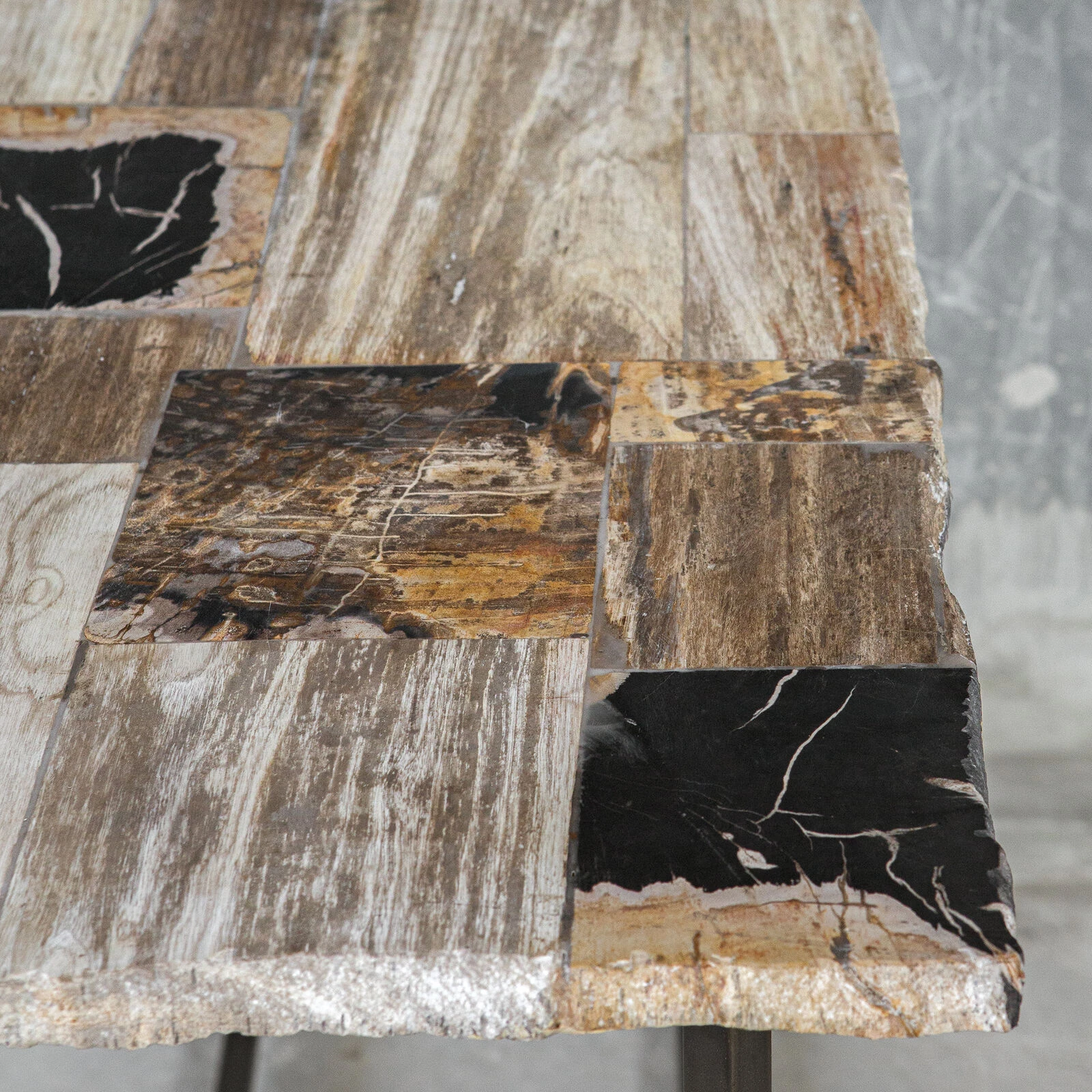 Iya Petrified Wood Console Table 6 Iya Petrified Wood Console Table - Image 4